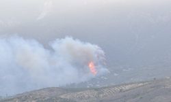Hatay'daki orman yangını ikinci gününde; havadan müdahale başladı / Ek fotoğraflar