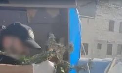 İş yeri çatısında kenevir yetiştiren 3 şüpheliye gözaltı