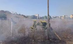 İstanbul - Arnavutköy'de otluk alanda yangın çıkaran şüpheli, itfaiye ekiplerine saldırdı