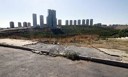 İstanbul- Avcılar'da kaldırım taşı hırsızlığı kamerada