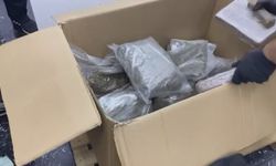 İstanbul - Avcılar'da operasyon: 90 kilogram uyuşturucu ele geçirildi; 1 gözaltı