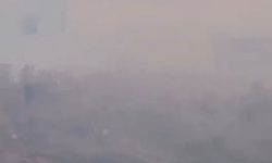 İstanbul- Avcılar'da otluk alanda yangın çıktı; ineklerini kurtarmak için gölete soktu