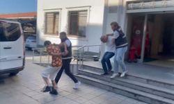 İstanbul- Bağcılar'da operasyon yapılan iş yerindeki kümeste el bombası ve silahlar bulundu