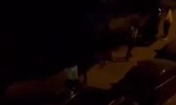 İstanbul- Başakşehir'de polise mukavemet gösteren şüphelinin yakalanma anları kamerada