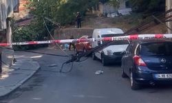 İstanbul - Beyoğlu'nda devrilen ağaç elektrik direklerini yıktı: 2 araç hasar gördü