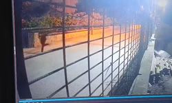 İstanbul - Eyüpsultan'da taksiciyi öldüren şüpheli adliyeye sevk edildi: 'Hasmıma benzettim ateş ettim' / Şüphelinin kaçtığı anların görüntüsüyle