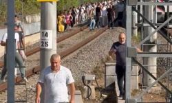 İstanbul- Marmaray hattına ağaç devrildi, yolcular demir yolunda yürüdü