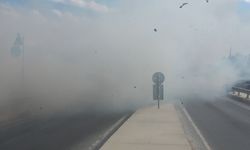 İstanbul - Silivri'de ağaçlık alan alev alev yandı; TEM bağlantı yolu trafiğe kapandı