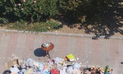 İzmir'de çöp yığınları oluştu
