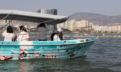 İzmir'de 'Flamingo Yolu' turu renkli görüntülere sahne oluyor /Video eklendi
