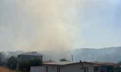 İzmir'de orman yangını (2) / Video eklendi