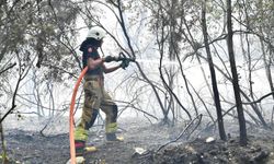 İzmir'de orman yangını (3)