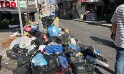 İzmir'in çöp sorununa vatandaş tepkisi: Koku 5'inci kata kadar çıkıyor