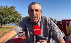 İznik'te çıkan orman yangını 1 saatte kontrol altına alındı