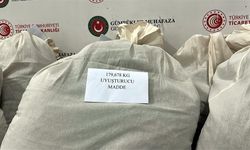 Kapıkule'de 3 TIR'da 179 kilo uyuşturucu ele geçirildi