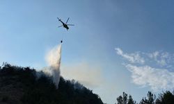 Karabük’te orman yangını (2)