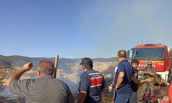 Kastamonu'da yangın; 30 dönüm arazi kül oldu