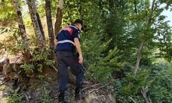 Kayıp zihinsel engelli Bestami için arama çalışması başlatıldı