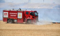 Kırklareli'de anız yangını; TEM ve D-100 bir süre trafiğe kapatıldı