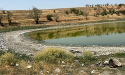 Kızılca Göleti'nin suyu çekildi, ölen balıklar kıyıya vurdu