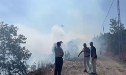 Kocaeli'de orman yangını (2)