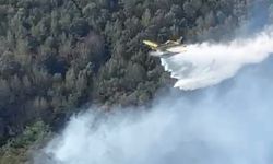 Kocaeli'de orman yangını 2'nci gününde; dronla görüntülendi