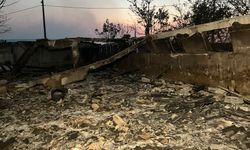 Kocaeli'de orman yangını: 3 mahalle tahliye edildi (4)