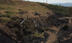 Kocaeli'deki ot yangını söndürüldü/Ek fotoğraflar