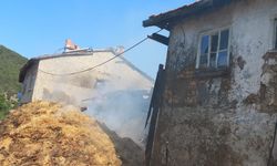 Köyde çıkan yangında 2 ev ve eklentileri yandı; ev sahibi gözaltına alındı