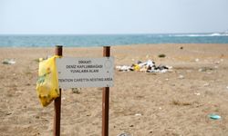 Kumköy Sahili'nde barakalar gitti, çöplük kaldı