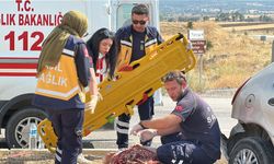 Kütahya'da iki otomobil çarpıştı; karı-koca yaralandı