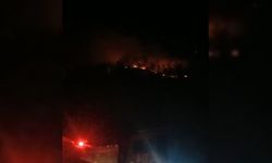 Malatya'da orman yangını (2) /Görüntü eklendi