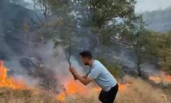 Manisa’da tarladaki yangın, makiliğe sıçradı
