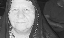 Mardin'de otomobilin çarptığı kadın, öldü (2)