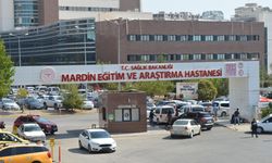 Mardin'de TIR'ın çarptığı Down sendromlu yaşamını yitirdi