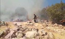 Mardin'deki örtü yangını 5 saatte söndürüldü