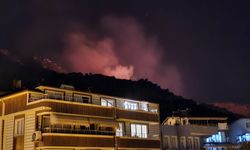Marmara Adası'nda orman yangın