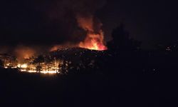 Mersin'de 3 ayrı noktada orman yangını (4)