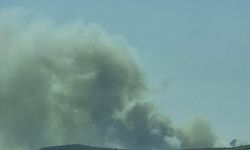 Mersin'de 3 ayrı noktada orman yangını