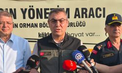 Mersin'deki orman yangını 2'nci gününde (3)