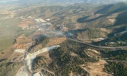 Milas'ta zirai alandaki yangın söndürüldü
