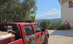 Mudanya'da 1 dönüm orman yandı