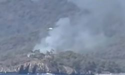 Muğla'da orman yangını