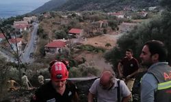 Muğla'da zeytinlikte çıkan yangın 1 saatte söndürüldü