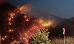 Nazilli'de orman yangını büyümeden kontrol altına alındı