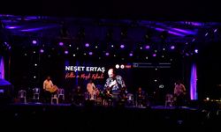 Neşet Ertaş Kültür ve Müzik Festivali, 'deprem' nedeniyle yarıda kesildi