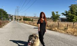 Obez köpek Duman, 6 ayda 20 kilo verdi