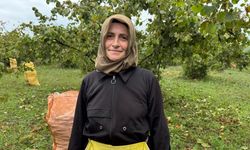 Ordu’da fındık hasadı başladı