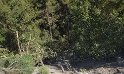 Orman yangınına giden arazöz uçuruma yuvarlandı; 1 şehit, 5 yaralı