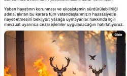 Orman yangınlarından etkilenen alanlarda av yasağı